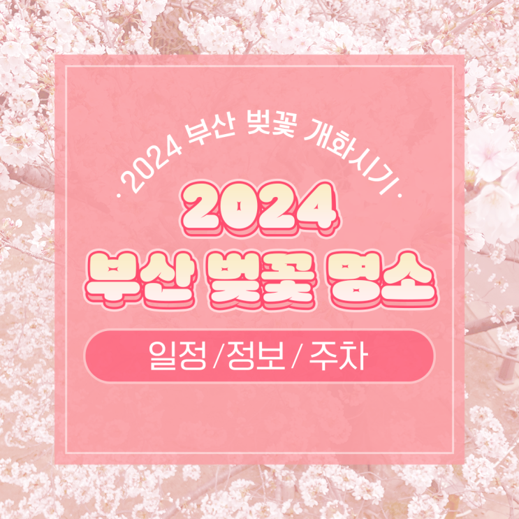 2024 부산 벚꽃 개화시기 부산 벚꽃 명소 강서낙동강30리벚꽃축제 알아보기(+주차)