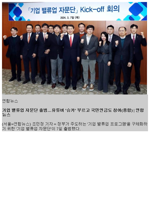 기업 밸류업 <b>자문단</b> 출범…유튜버 '슈카' 부르고 국민연도 참여... 