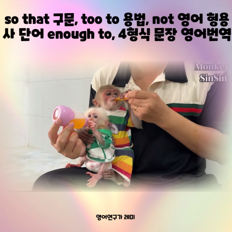 so that 구문, too to 용법, not 영어 형용사 단어 enough to 부정사 용법, 4형식 문장 영어번역 so that 구문, too to 용법, not 영어 형용사 단어 enough to 부정사 용법, 4형식 문장 영어번역