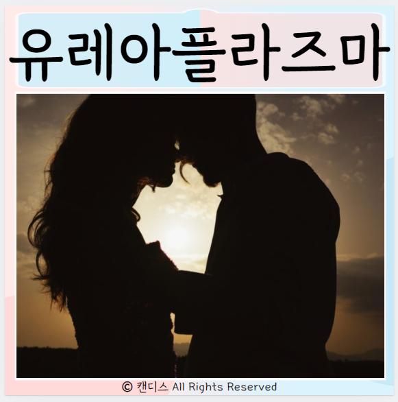  유레아플라즈마 원인 증상 진단방법 치료 예방법