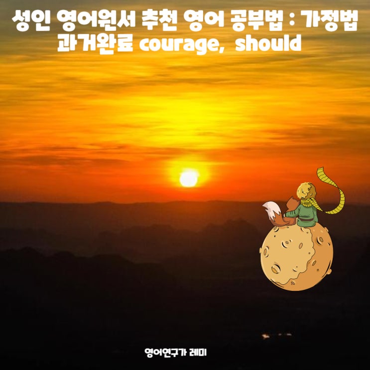 성인 영어원서 추천 영어 공부법 : 가정법 과거완료 courage 영어관용표현, should