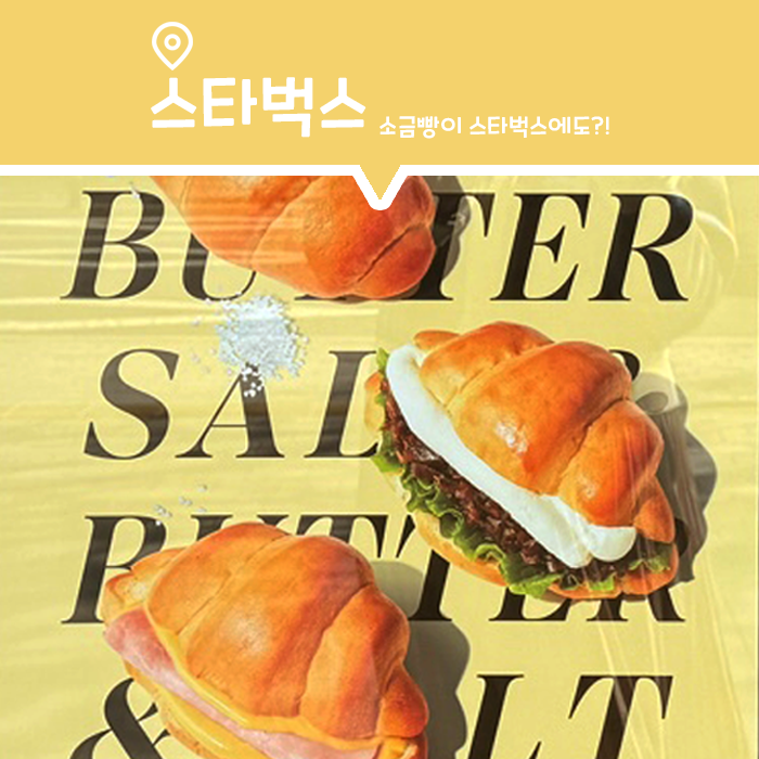  [카페] 스타벅스 신메뉴 리코타 소금빵 샌드위치 맛은 과연?! (Feat. 벚꽃 MD)