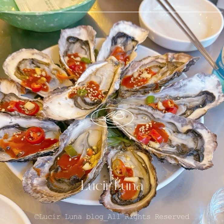을지로 양념집 해산물 맛집/ 해산물 초강추 맛집 후기 /양념집 석화 을지로 양념집 해산물 맛집/ 해산물 초강추 맛집 후기 /양념집 석화