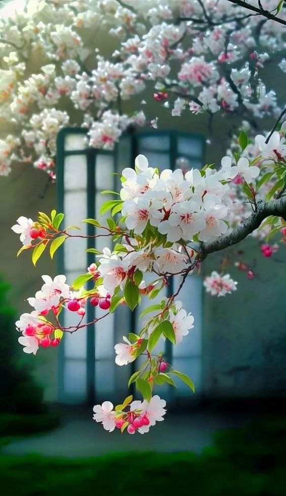   오늘의 생활정보 (2024-03-08, 금)