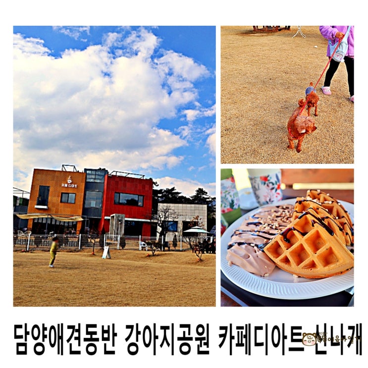  담양애견동반 강아지공원 카페디아트 신나개