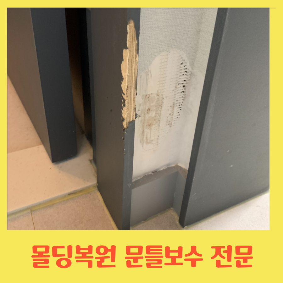 몰딩복원 강아지 이빨자국 문틀보수