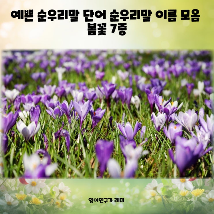 예쁜 순우리말 단어 순우리말 이름 봄꽃 7종