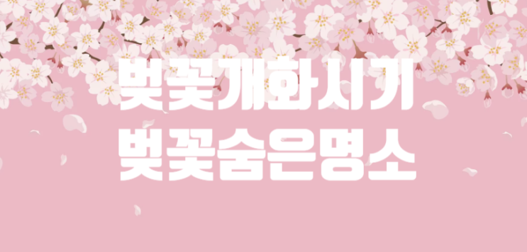 2024 서울 벚꽃 개화시기 및 일정, 숨은 명소, 꽃말