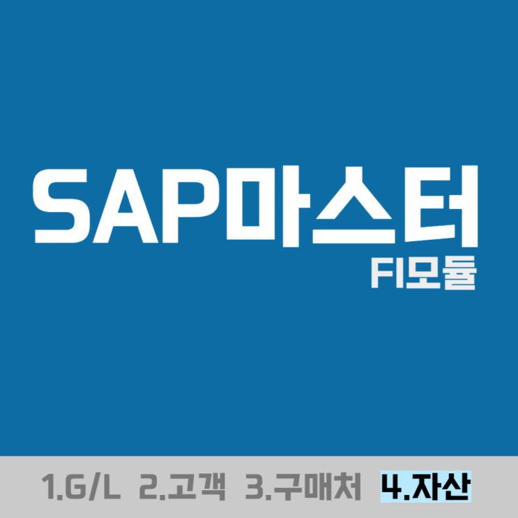  SAP마스터(자산) - FI모듈