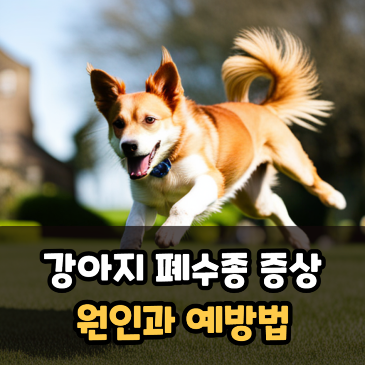  강아지 폐수종 증상 나타나는 원인과 생활 속 보호자의 예방법