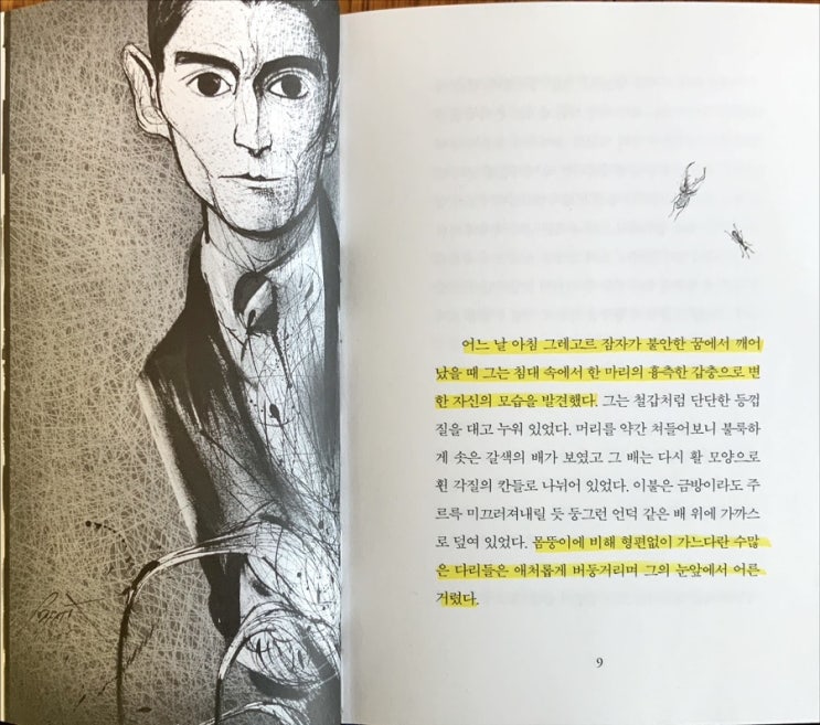  프란츠 카프카의 변신, 자본주의와 인간의 존엄성