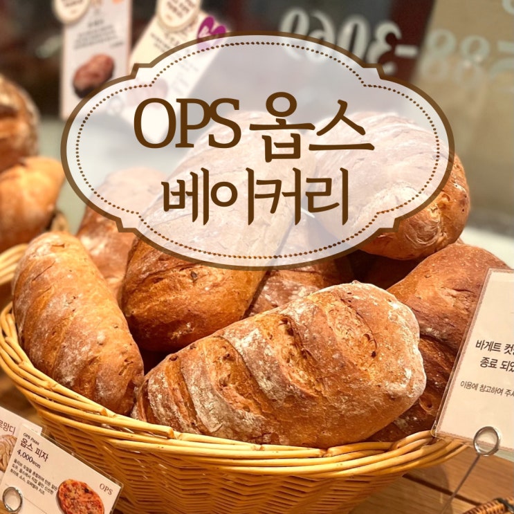  옵스 ops 범계역 빵집 평촌 롯데백화점 식당가 맛집 화이트데이 선물