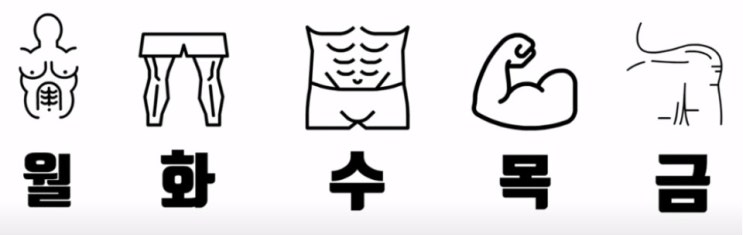  "웨이트 트레이닝의 분할 운동법"