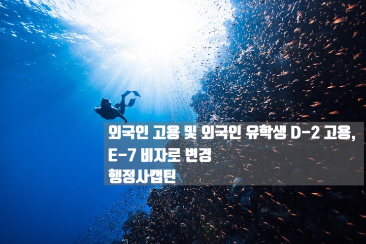  외국인 고용과 비자 및 외국인 유학생 D-2 고용, E-7 비자로 변경