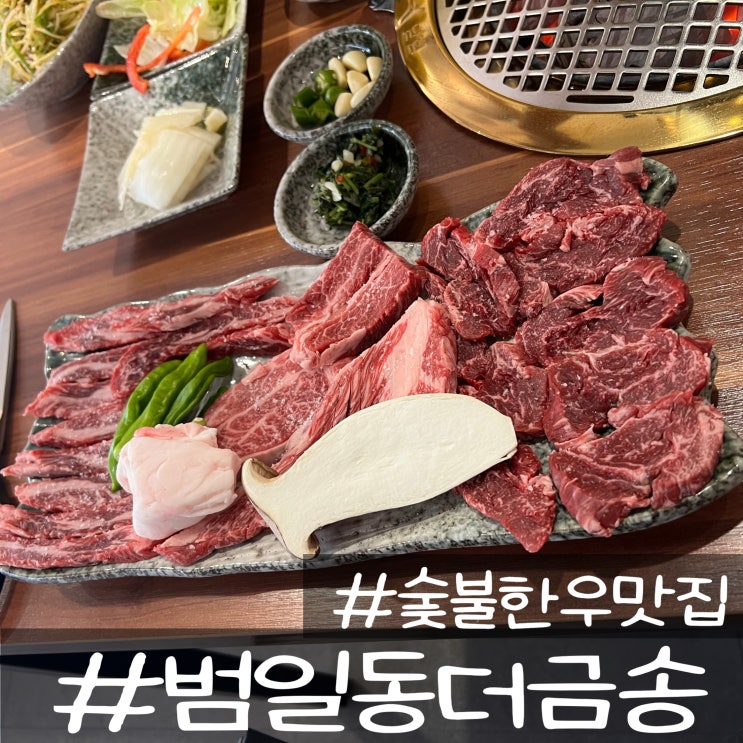  범일동 소고기 숯불한우전문점 소고기 맛집_더 금송(콜키지 무료)