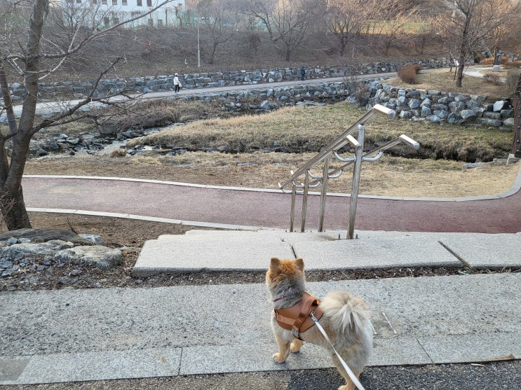  반려동물 의료비 지원사업 신청 안내 (경기도 남양주시)