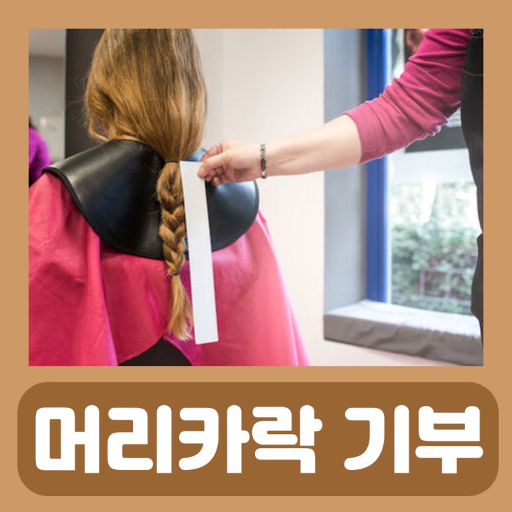  머리카락 기부 방법 조건 길이