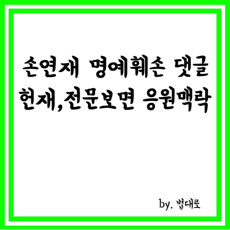  손연재 명예훼손 댓글?, 헌재 "전문 보면 응원하는 맥락"
