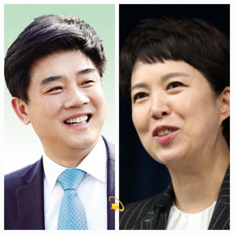 김병욱 vs 김은혜 프로필 경기 성남시 분당구 을 국회의원 선거 총선