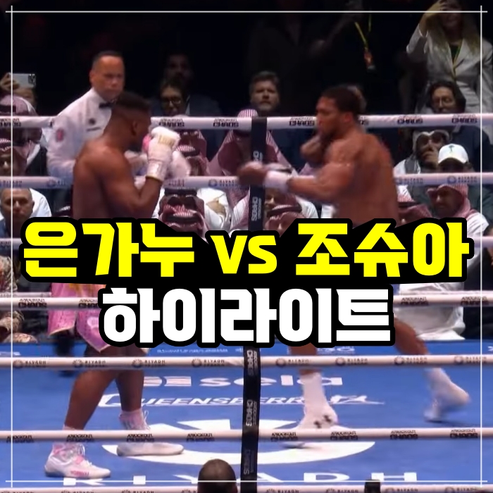 [영상] <b>은가누</b> vs 조슈아 복싱 경기 결과 ,하이라이트&리뷰