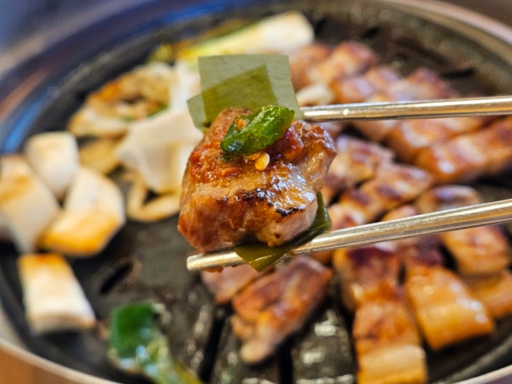  제주도 성산일출봉 섭지코지 돌담애 성산 흑돼지 맛집 애견동반 식당 제주 동쪽 여행 코스 추천