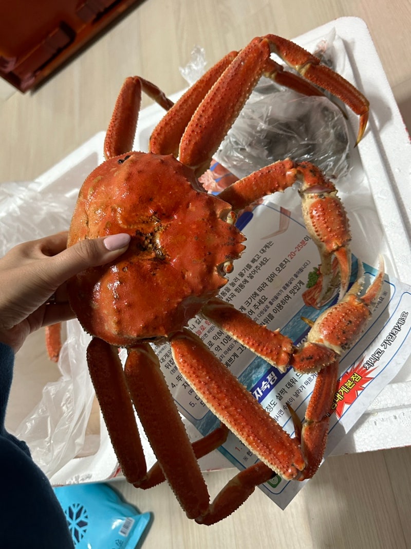 대게 1kg 가격, 저렴하게 먹는방법 ft.짱대게 내돈내산 : 네이버 블로그