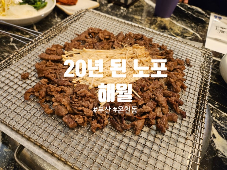  부산 동래 온천동 20년 된 노포 한정식 맛집 해월