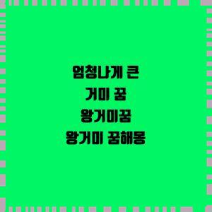 엄청나게 큰 거미 꿈 왕거미꿈 왕거미 꿈해몽