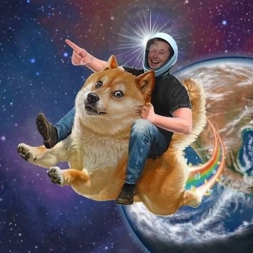  [기업분석] 내가 테슬라 LONG을 외치는 이유