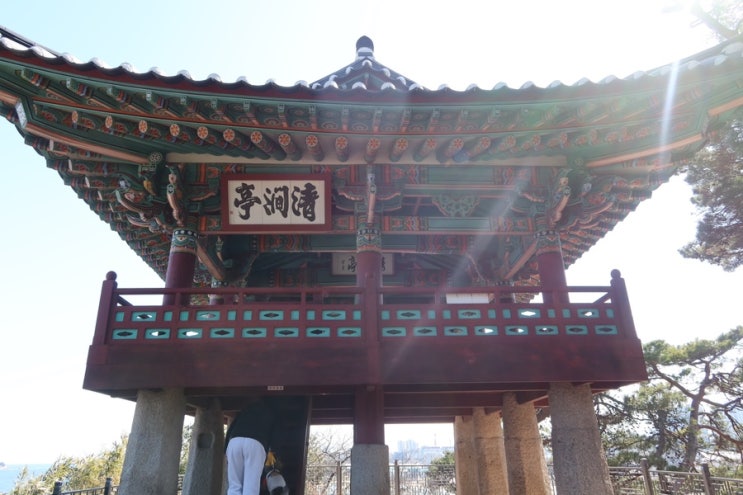  강원도 고성 애견동반여행 가볼만한 곳 청간정전망대