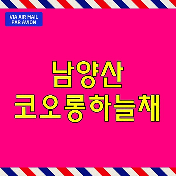  남양산 코오롱하늘채 모델하우스 양산 시청역 아파트 조합원모집