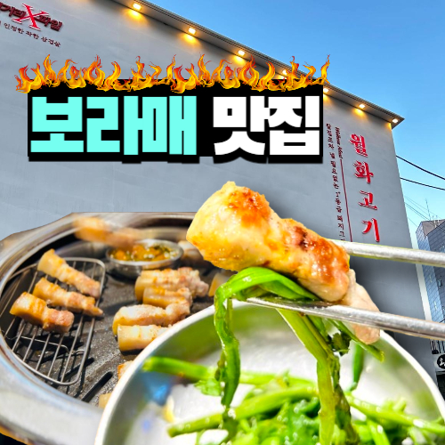  보라매 맛집 실패없는 파인 다이닝 데이트 후기, 가격, 메뉴(월화고기 보라매점)