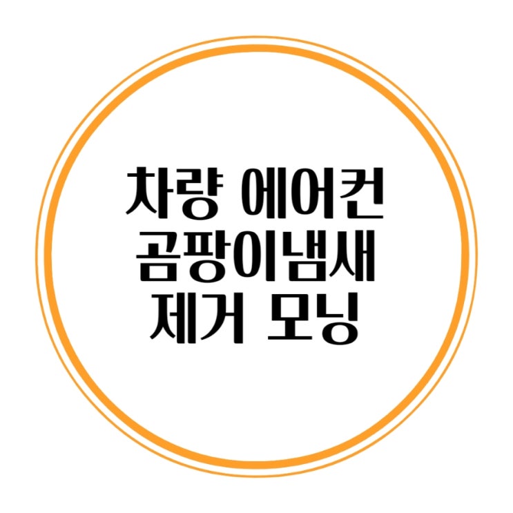  차량 에어컨 곰팡이냄새 제거 모닝에바크리닝