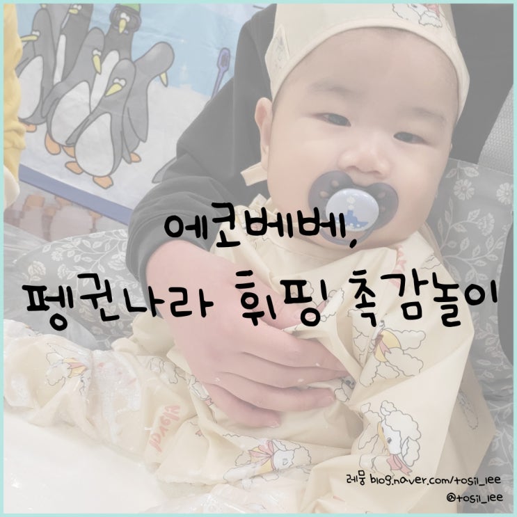  홈플러스 문화센터 '에코베베의 펭귄나라 휘핑촉감놀이(5~12개월)'