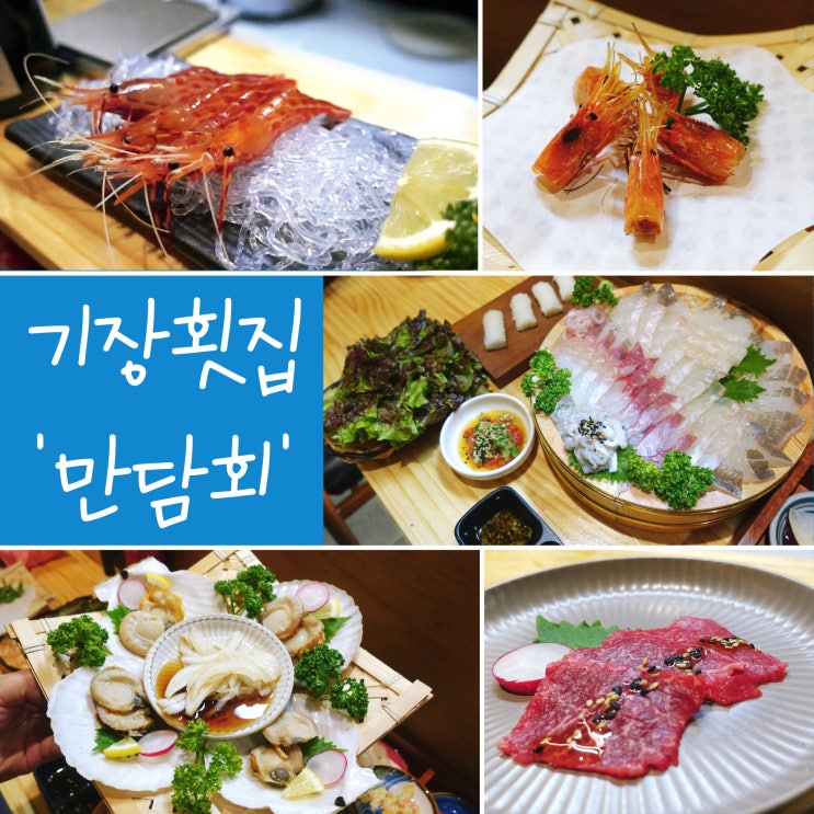  기장횟집 추천 기장군청 근처 맛집 만담회