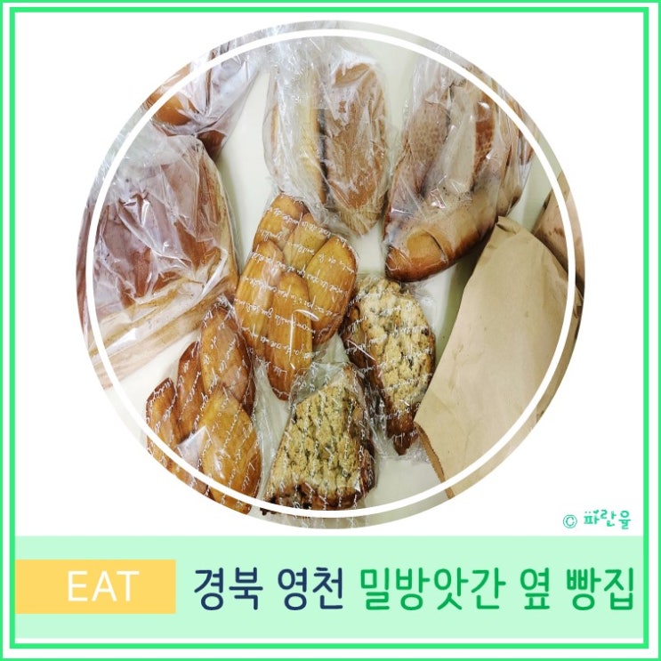  생활의 달인 영천 밀방앗간옆빵집  우리밀빵 통밀빵 대구근교 빵지 순례 경북 유명 빵집 맛집