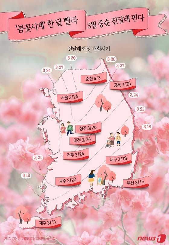2024 벚꽃지도 (개화시기) 2024 벚꽃지도 (개화시기)