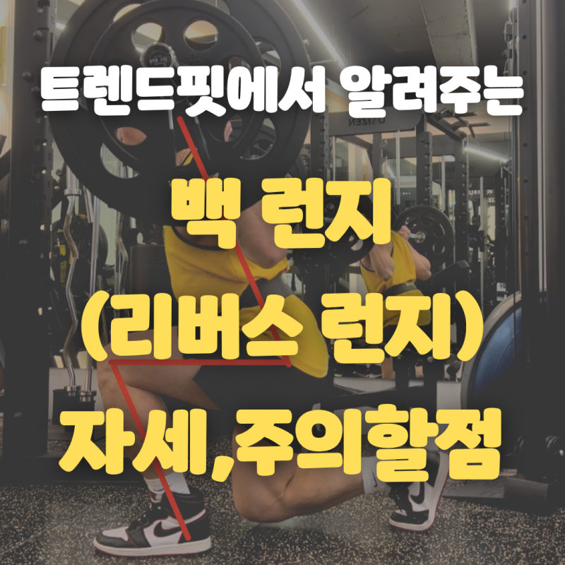 [수영헬스장/수영PT]힙업운동 백 런지(리버스 런지) 정확한 자세, 주의할 점