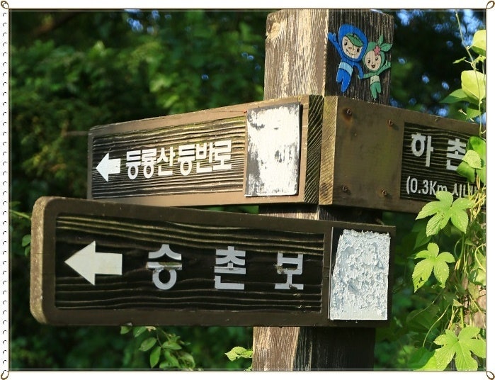 등룡산 사진 2