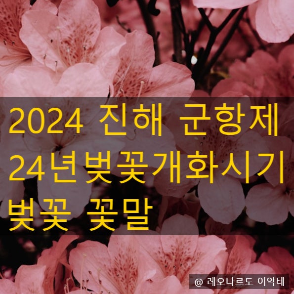진해군항제벗꽃축제 24년벚꽃개화시기 명소 2024진해군항제 꽃말 특징