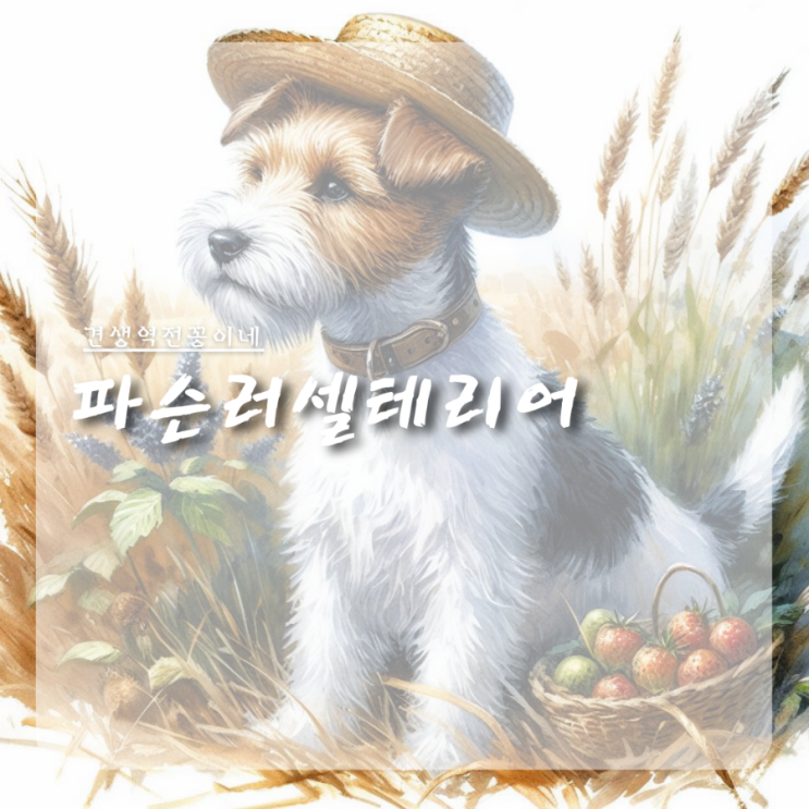  파슨러셀테리어 소형견종류 테리어품종 특징