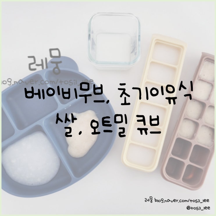  베이비무브 이유식마스터기, 초기이유식 '쌀과 오트밀 큐브(8배죽)'
