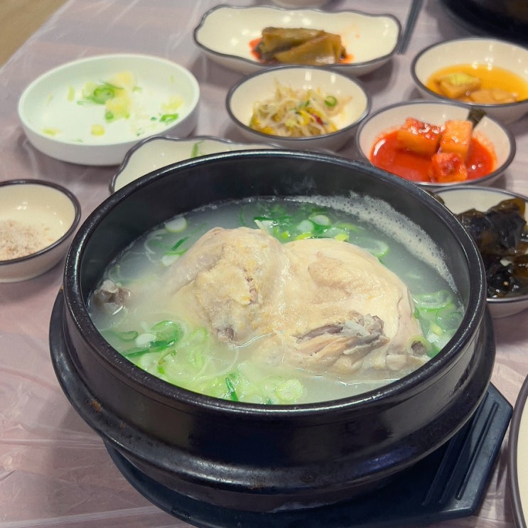  동해 남경식당 삼계탕 로컬맛집