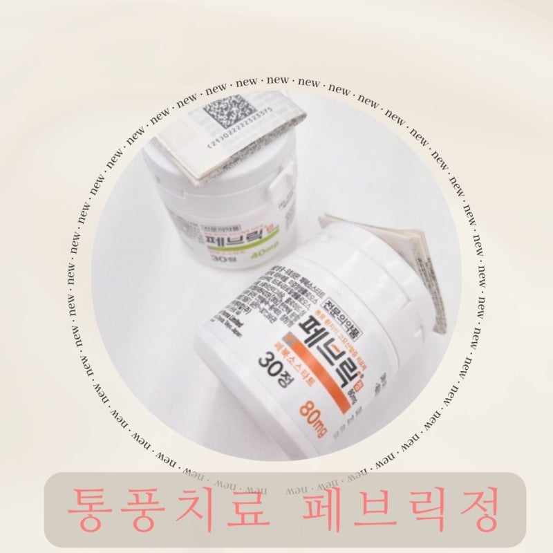 통풍에 좋은약 페브릭정40mg,80mg 효능및 부작용.