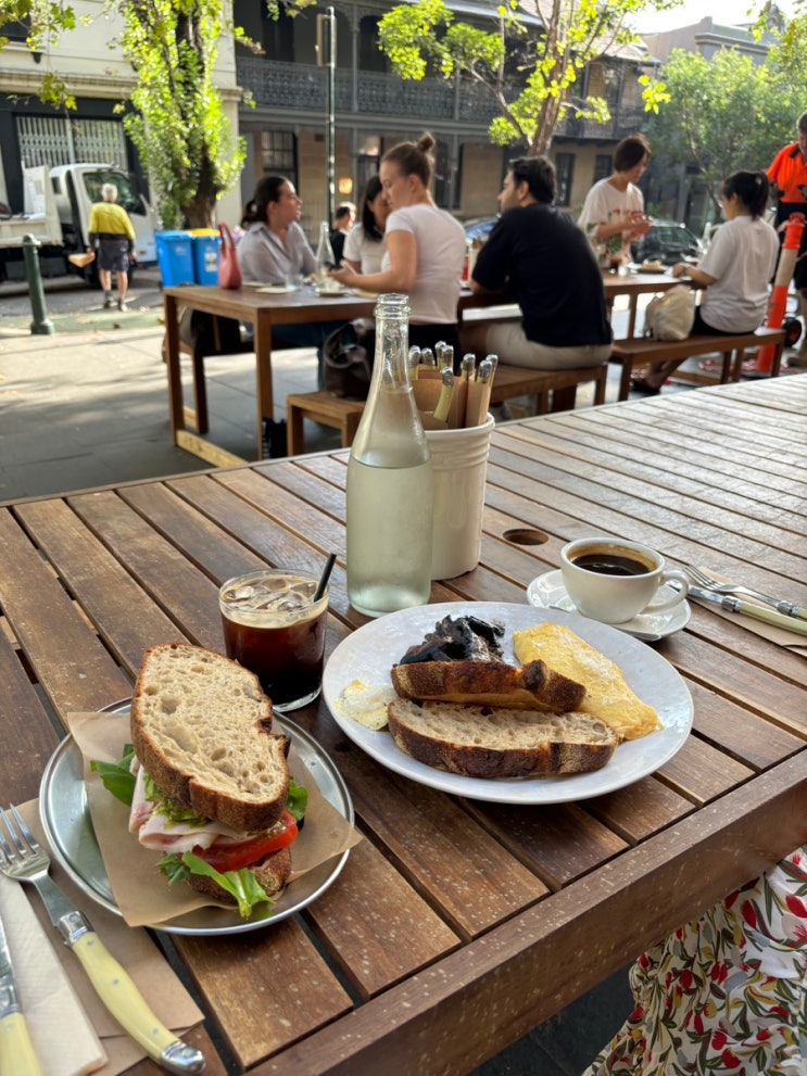  호주 시드니 브런치맛집 테라스가 좋았던 THEECA 티카 후기
