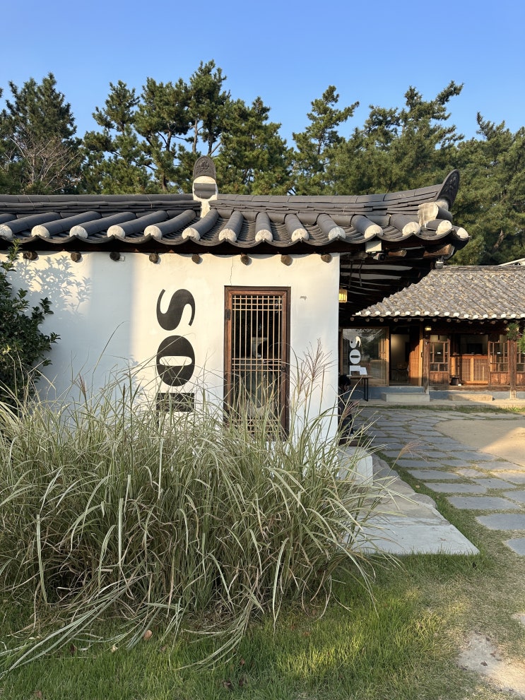  [경주 황리단길] 반려견 동반 가능한 넓은 정원이 있는 카페솔, 맞은편 키와스토어 편집샵까지 구경해요