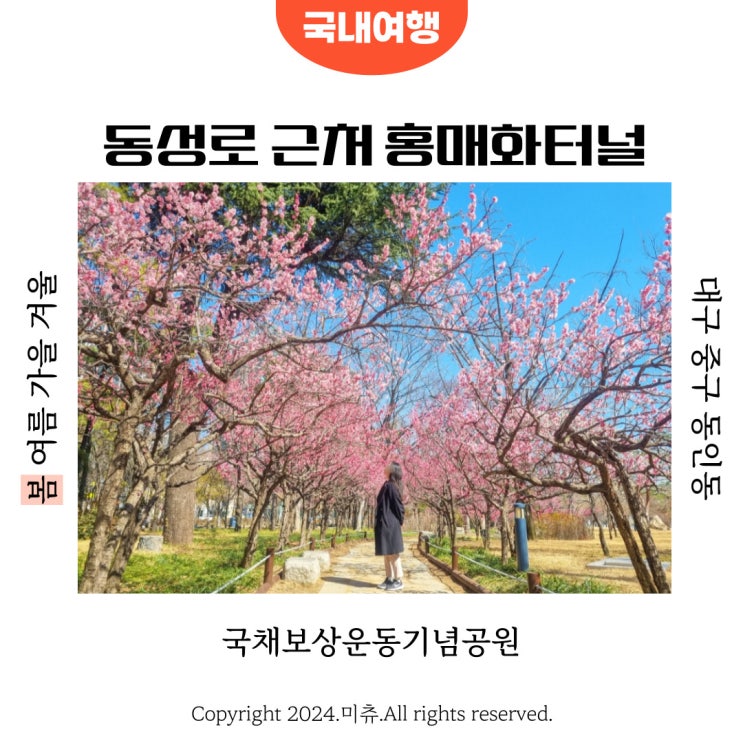  대구 중구 홍매화 명소 국채보상운동기념공원 개화상황