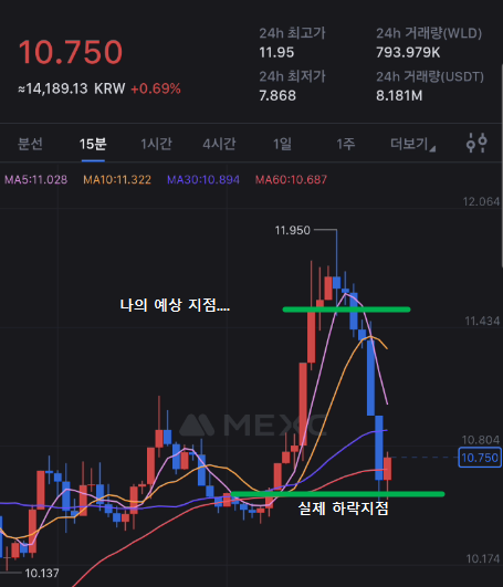 코인 단타 방법(매매법), 월드코인 단타 2주 수익률 17%, 승률 높일려면? 코인 단타 방법(매매법), 월드코인 단타 2주 수익률 17%, 승률 높일려면?