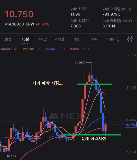 코인 단타 방법(매매법), 월드코인 단타 2주 수익률 17%, 승률 높일려면?