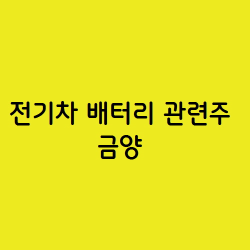  전기차 배터리 관련주 금양  원통형 배터리를 발표